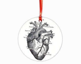 Anatomical Heart Christmas Ornament: Medical/Nursing Student Gift