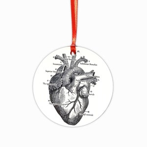 Anatomical Heart Christmas Ornament, nursing student, christmas decor, medical student gift, halloween, anatomy, nurse gift, heart ornament