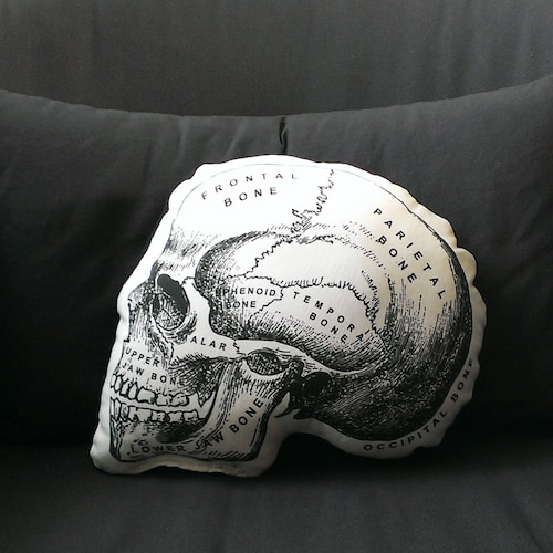 Skull Pillow anatomical skull medical student gift nurse practitioner medical school gift nurse graduation doctor gift halloween goth
