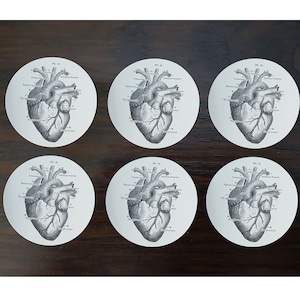 Anatomical Heart Stickers medical student gift nursing student sticker pack doctor gift cool sticker set halloween envelope seals goth