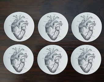 Anatomical Heart Stickers medical student gift nursing student sticker pack doctor gift cool sticker set halloween envelope seals goth