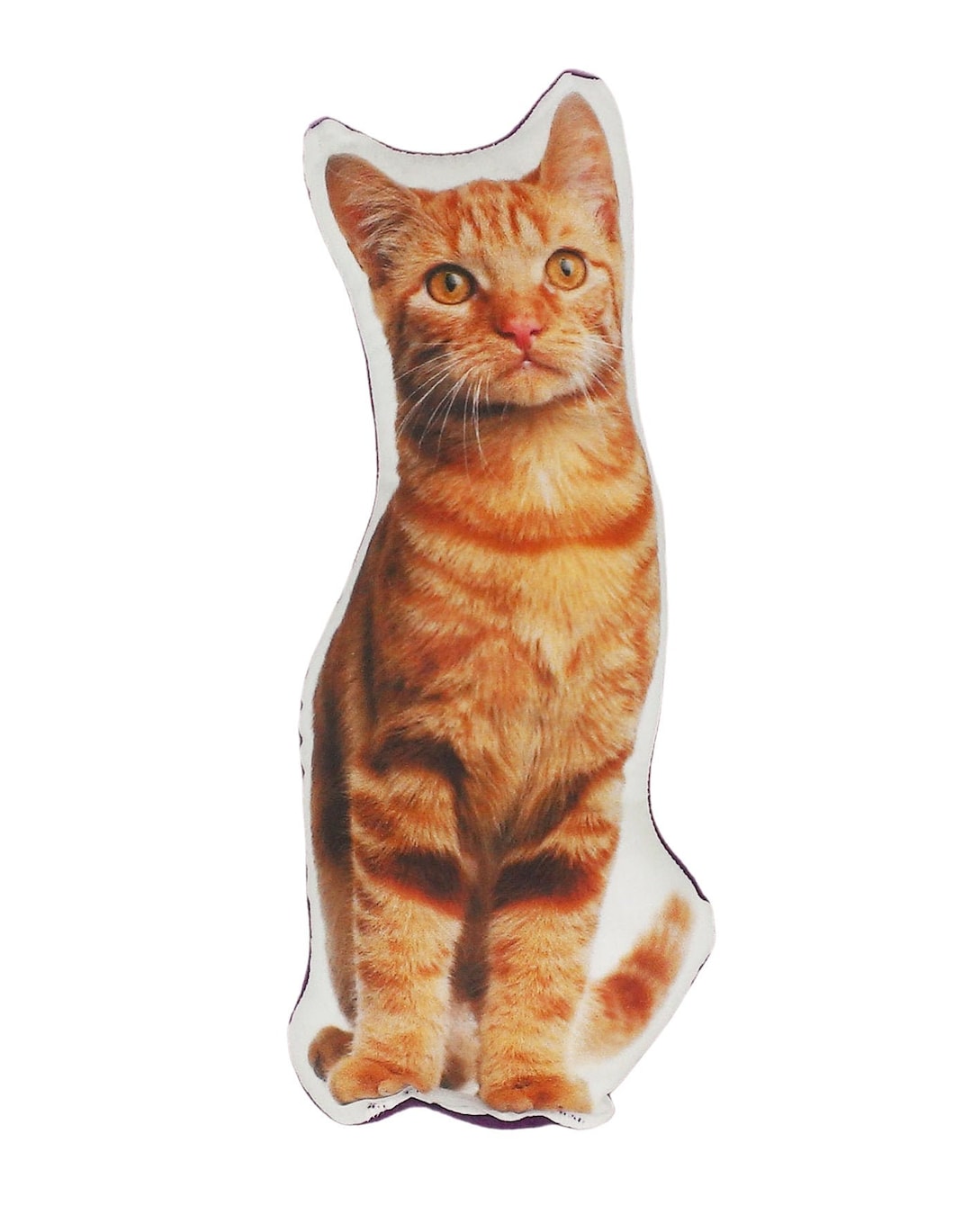 Orange cat pillow top