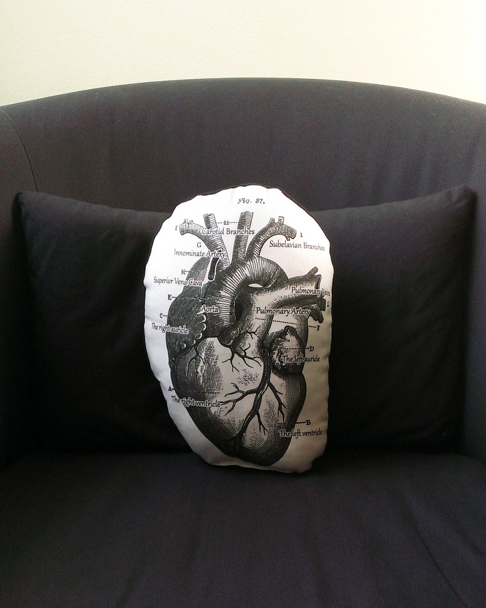 Anatomical Heart Pillow Medical School Gift for Surgeon Rn | Etsy