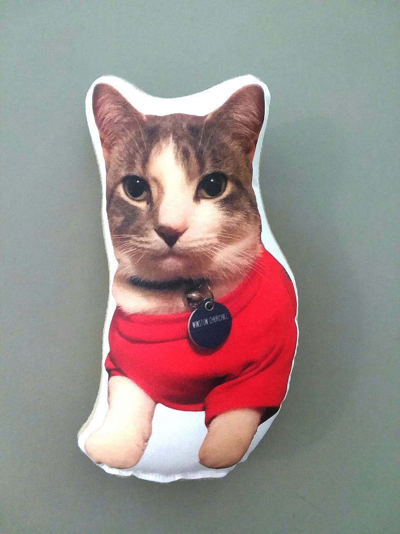 Custom Pet Pillow Custom Cat Pillow best cat lover gifts shape Etsy