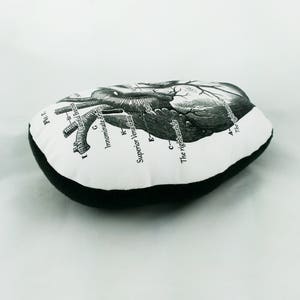 Anatomical heart pillow Clearance