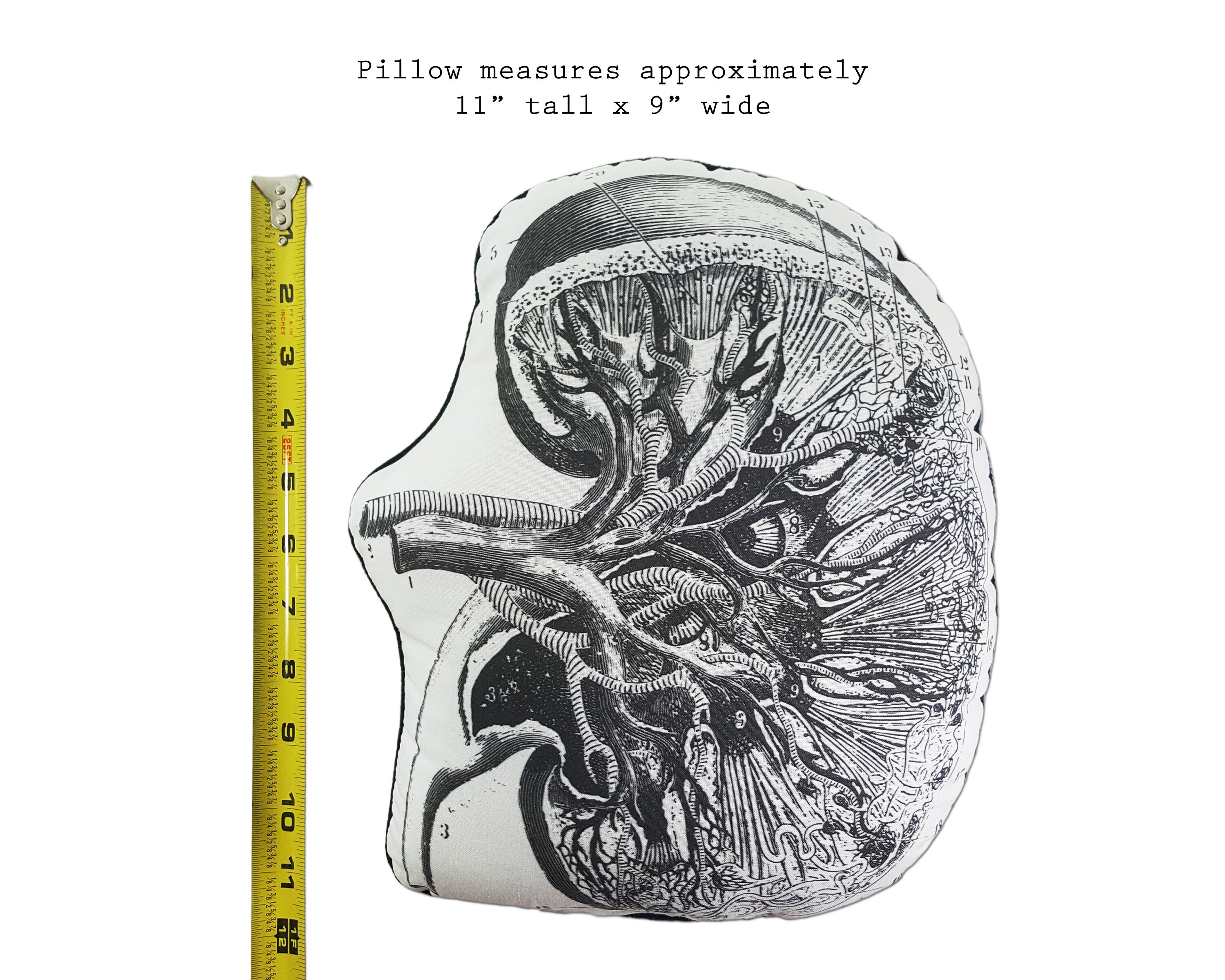 Kidney Pillow Nurse Gift Anatomy Kidney Donor Gift Medical Student Gift ...