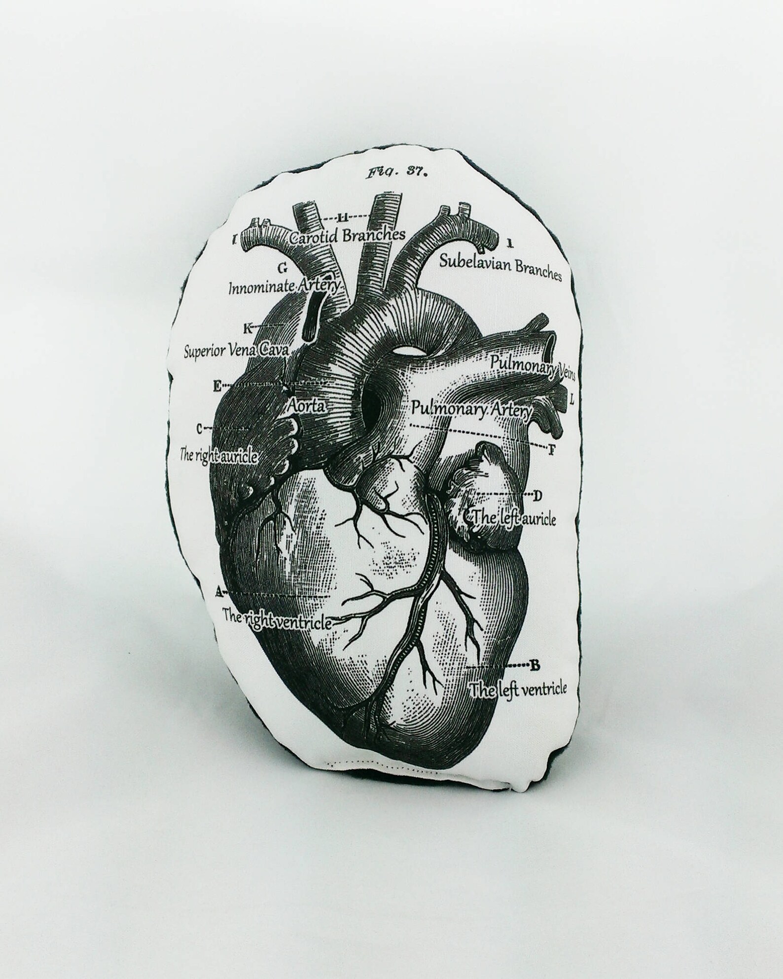 Anatomical heart pillow Clearance
