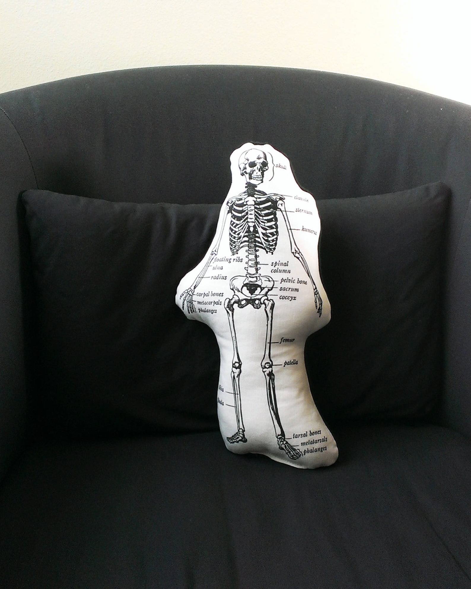 Skeleton Pillow Anatomical Skeleton Gift for Surgeon Etsy