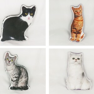 May include: Four different cat pillow designs. The first pillow features a black and white cat with yellow eyes. The second pillow features a brown tabby cat with yellow eyes. The third pillow features a gray tabby cat with yellow eyes. The fourth pillow features a white cat with yellow eyes.