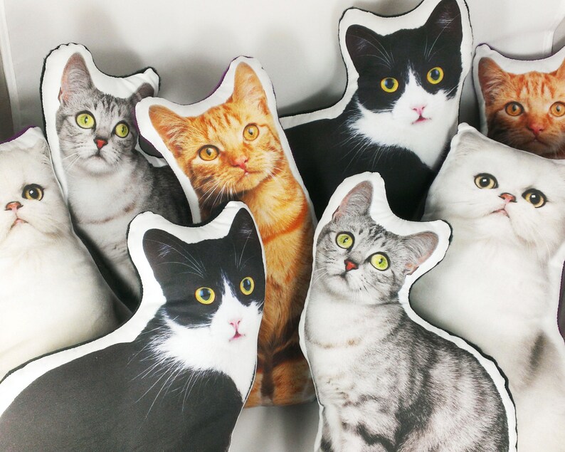 cute cat pillow