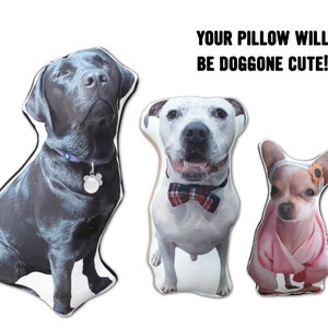 Custom Pet Pillow, Dog Pillow, Pet Photo Pillow, Dog Mom, Personalized Pet Pillow, Pet Loss Gift, Dog Throw Pillow, Cat Lover Gift, memorial