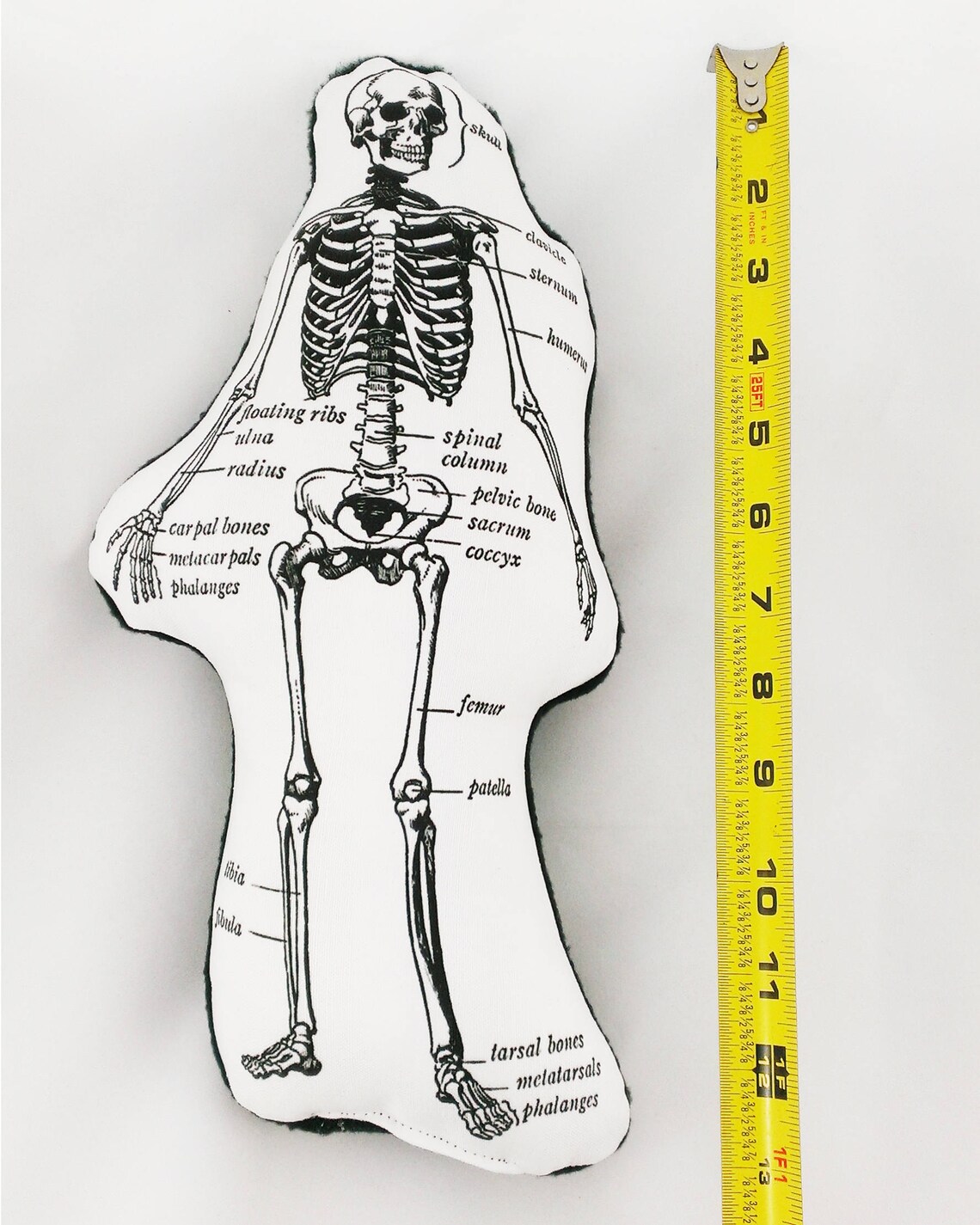 Skeleton Pillow anatomical skeleton gift for surgeon Etsy