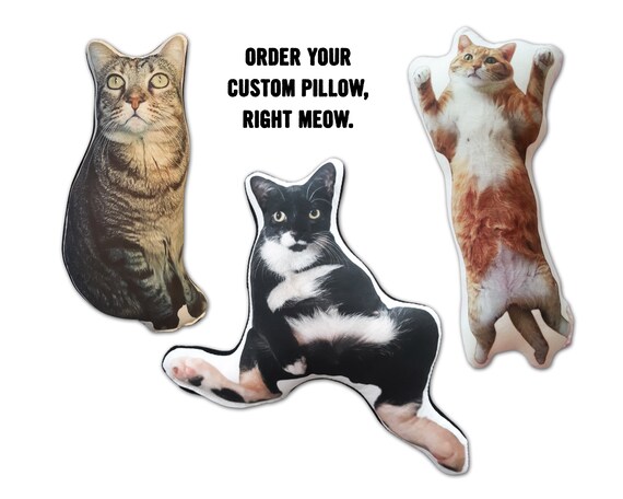 Pillow of my cat hotsell