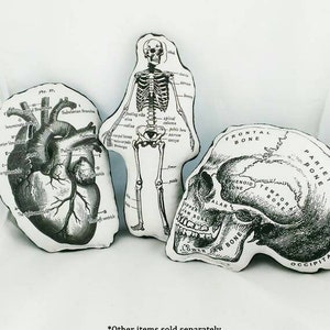 May include: Three anatomical illustrations of a human heart, skeleton, and skull. The illustrations are printed in black and white on a white background. The heart is labelled with the names of its chambers and valves. The skeleton is labelled with the names of its bones. The skull is labelled with the names of its bones.