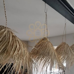 Peut inclure: Plusieurs suspensions lumineuses en feuilles de palmier séchées. Les abat-jours sont suspendus au plafond par des cordons tressés et des crochets métalliques. Les abat-jours ont un aspect effiloché et une couleur beige clair.