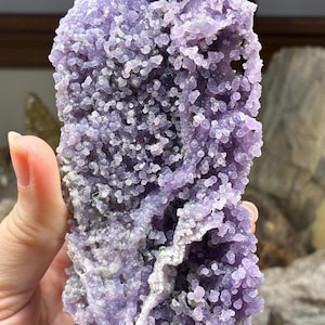May include: A close-up of a grape agate specimen. The stone features a bubbly, botryoidal texture in shades of lavender and purple. The surface has a crystalline appearance, with a few areas of white and green.