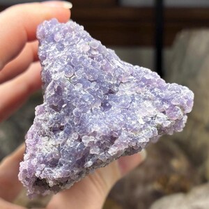May include: A close-up of a piece of grape agate, a unique mineral with a bubbly, botryoidal structure. The stone is a soft lavender color with a crystalline texture. The agate is held in a hand, showcasing its natural form.