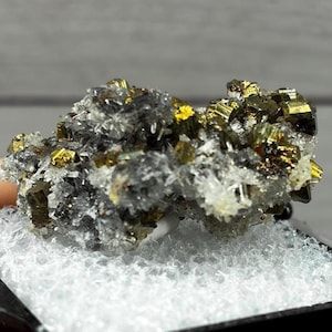 Thumbnail Specimen of Pyrite, Galena & Needle Quartz in Perky Box