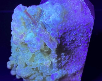 Opal On Quartz, 212 G Polished Mineral Specimen with UV Reactive Hyalite Matrix