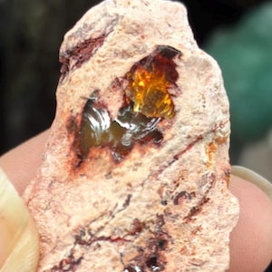 May include: A rough, beige-colored rock with dark red and brown veins. The rock has a cavity filled with a translucent, amber-colored material, and a smaller cavity with a reflective surface. The rock is held by a person's fingers.