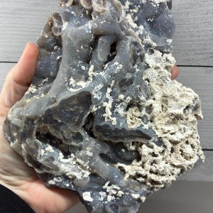 May include: A large, irregularly shaped blue-grey stone with a porous, coral-like texture. The stone has a rough, uneven surface with areas of white, creating a striking contrast. The stone is held in a hand, showcasing its size and unique geological features.