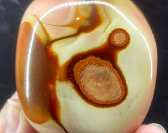 Polychrome Jasper Palm Stone, Polished Freeform Display Specimen from Madagascar