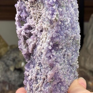 May include: A large, raw, grape agate specimen. The surface is covered in small, round, lavender-colored botryoidal formations. The stone has a rough, textured appearance with areas of gray and white.