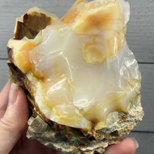 May include: A raw mineral specimen featuring a translucent, milky white and pale yellow center with a smooth, waxy luster. The outer edges display a rough, textured matrix in shades of brown, tan, and gray, showcasing natural geological formations.