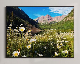 Puede incluir: Una fotografía de paisaje que presenta un campo de margaritas blancas en primer plano, con una cordillera en el fondo. Las montañas son una mezcla de tonos verdes y rojos, con un cielo azul y nubes blancas arriba.