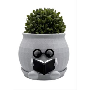 May include: A gray ceramic planter with a whimsical design, featuring a face with round glasses and a book. The planter holds a vibrant green plant. The design includes a small saucer at the base.