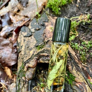 May include: A clear glass roller bottle with a black cap, filled with a golden liquid and various herbs and leaves. The bottle is set against a backdrop of a mossy log and forest floor.