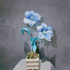 May include: A decorative plant featuring two large, light blue flowers with white streaks and yellow centers. The flowers are supported by thin green stems and long, slender leaves, all potted in a small, white, wavy-edged ceramic container.