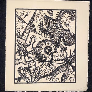 May include: A black and white print of a whimsical illustration featuring a variety of insects, a butterfly, a crystal, and a nautilus shell.