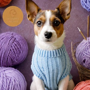 Könnte beinhalten: Ein kleiner Hund trägt einen hellblauen Strickpullover mit dem Text "Light Blue Jumper Crochet Pattern" und "Pet Sweater WINTER DOG". Der Hund ist von Wollknäueln in verschiedenen Farben umgeben, darunter Lila und Orange.
