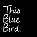 Avatar belonging to ThisBlueBird