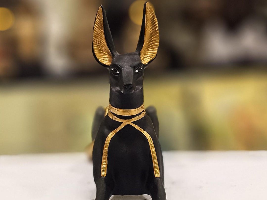Jackal God of Mummification Anubis Seated to Protect Your Home !! - Etsy