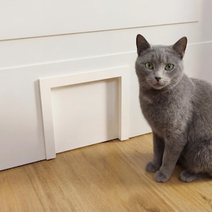 May include: A gray cat with green eyes sits on a wooden floor next to a white cat door built into a white door. The cat is looking directly at the camera.