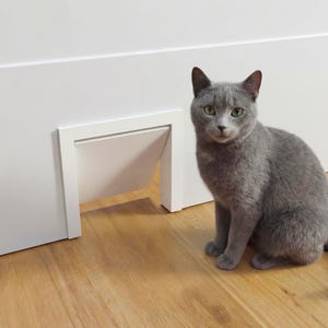 Pet Flap Doors - Cat & Dog Pass Door Kit for Indoor - Easy Install - Recycled PLA - Minimalist Interior Pet Door - DIY - Pets Supply