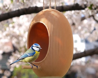 Bird Feeder - Hanging Seed Pod with Perch, Unique Garden Decor, Wild Bird Seed Dispenser. Backyard Bird Watching. Bird House