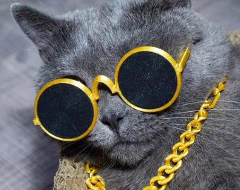 Rich Cat Gold Chain & Sunglasses Set - Funny Pet Photo Props - Boss Cat, Dog, Pet. Funny Gift for Cat Lovers. Pet Jewelry