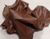 Classic Brown Embossed Ostrich Leather Lambskin PAR163