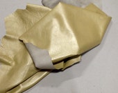 Satin Champagne Leather Lambskin PAR174