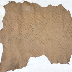 May include: A piece of brown leather with a dotted pattern. The leather is irregularly shaped and has a rough texture.