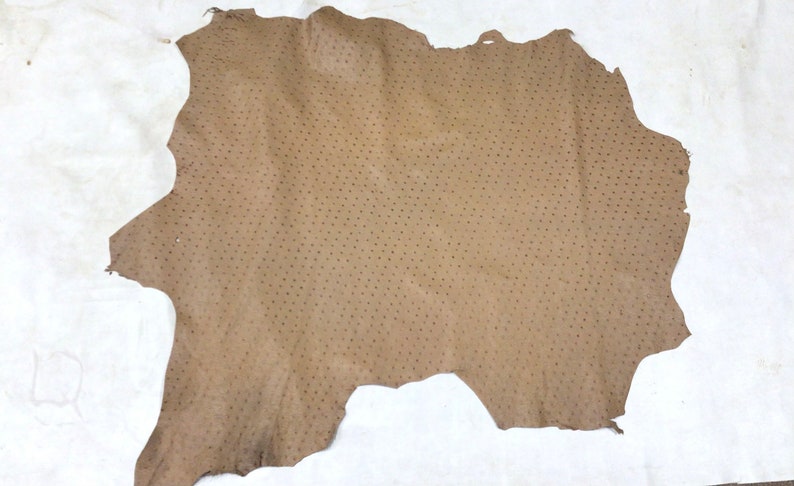 May include: A piece of brown leather with a dotted pattern. The leather is irregularly shaped and has a rough texture.