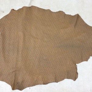 May include: A piece of brown ostrich leather with a dotted pattern.