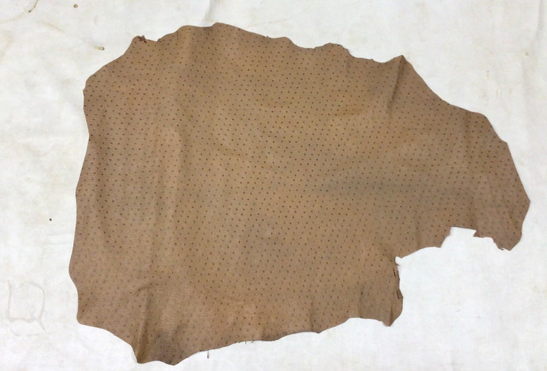 May include: A piece of brown ostrich leather with a dotted pattern.
