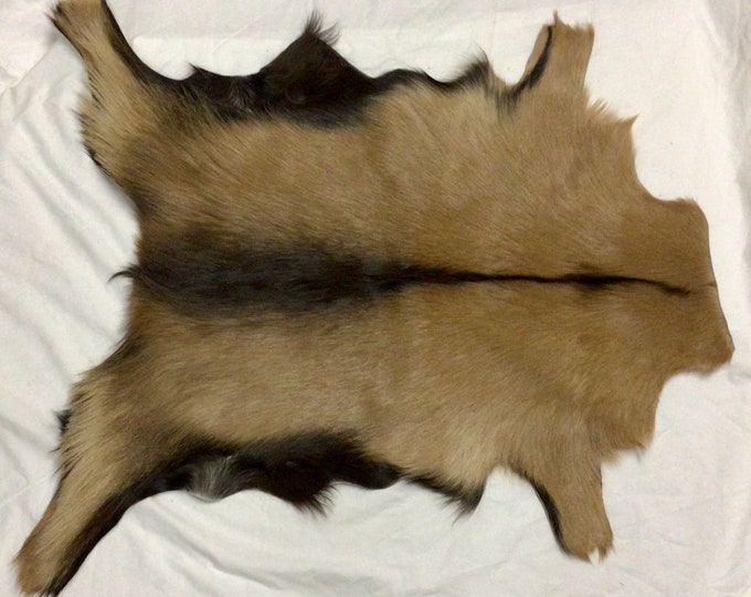 Exotic Brown on Brown Hair on Goatskins. Rugs,  EX24
