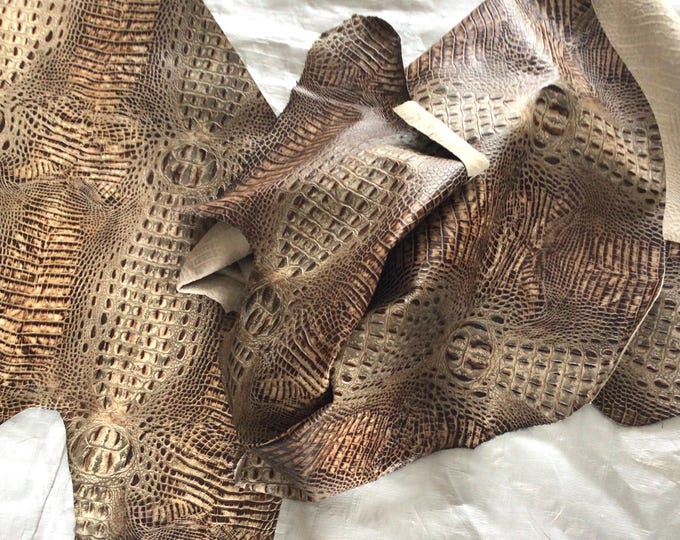 Brown on Brown Embossed Hornback Gator Leather Cowhides Remnants,.  CL356