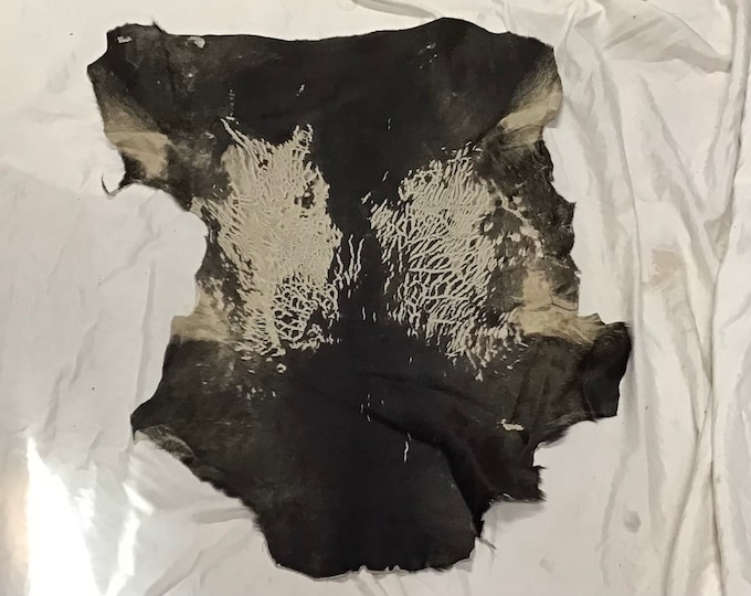 Brown and Dingy White Distressed Hair on Kid Goat Skins. Leather hides. KID102