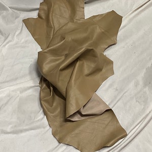 Dartmouth Tan Leather Lambskin.  LAMB7714